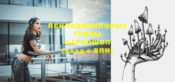 хмурый Нязепетровск