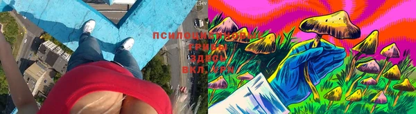 хмурый Нязепетровск