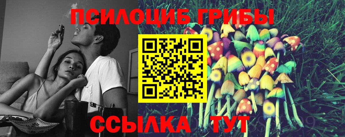 Псилоцибиновые грибы Cubensis  Галлюциногенные грибы ЛСД  Вход с VPN  Костомукша 